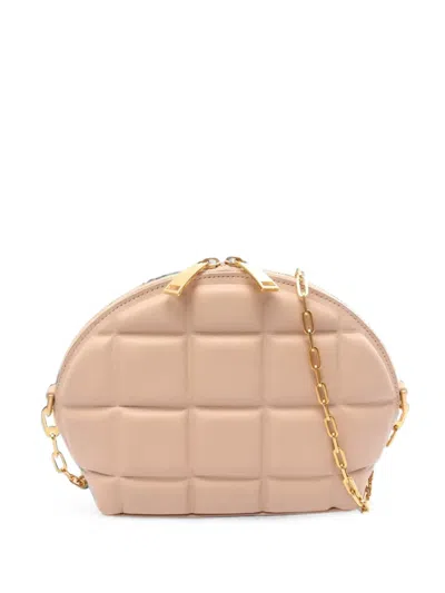 Pre-owned Bottega Veneta 2010s Mini Half Moon Shoulder Bag In Pink