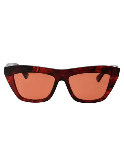 Bottega Veneta Acetate Havana Sunglasses