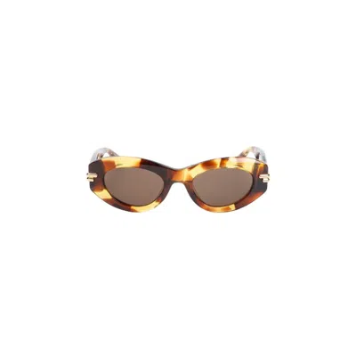 Bottega Veneta Acetate Sunglasses In Brown