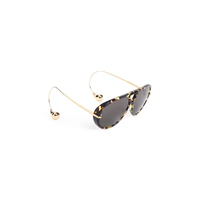 Bottega Veneta Acetate Sunglasses Women In Nude