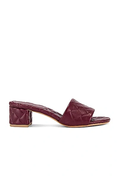 Bottega Veneta Amy Mule Sandal In Cherry