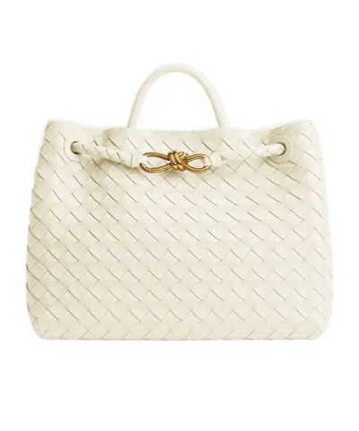 Bottega Veneta Andiamo Medium Bag In Neutral
