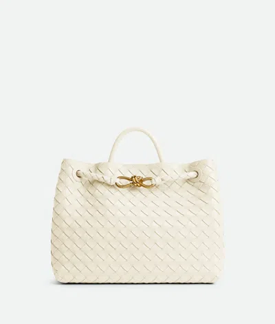 Bottega Veneta Andiamo In Gray