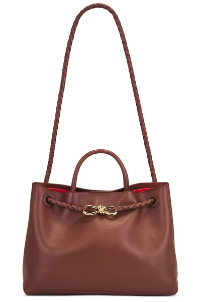 Bottega Veneta Andiamo Bag In Multi