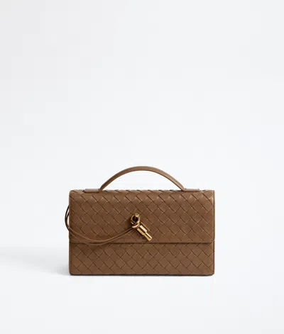 Bottega Veneta Andiamo Clutch 25 In Brown