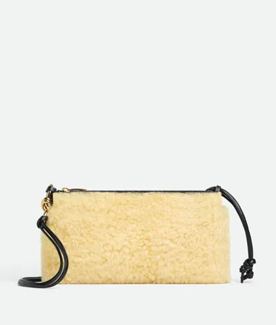 Bottega Veneta Andiamo Double Pouch