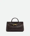 Bottega Veneta Andiamo East/west In Fondant