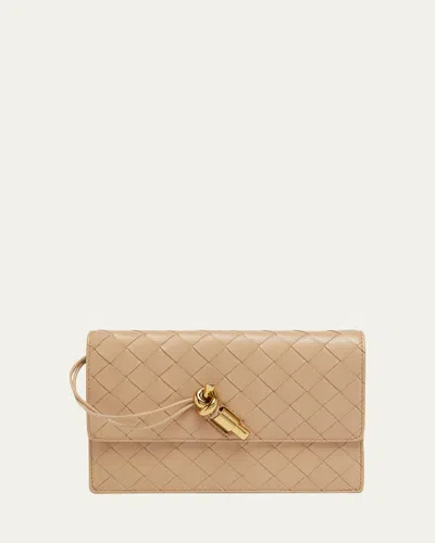 Bottega Veneta Andiamo Leather Chain Pouch Bag In Purple