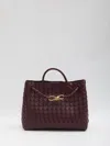 Bottega Veneta Andiamo Medium Cross-body Bag In Red