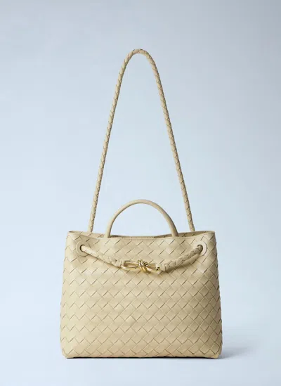 Bottega Veneta Andiamo Medium Handbag In Sand