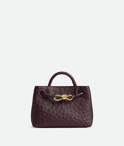 Bottega Veneta Andiamo Mini In Brown