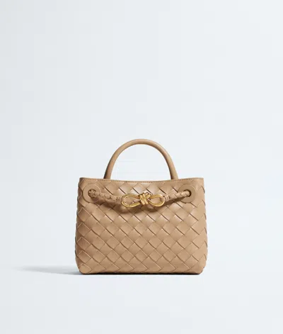 Bottega Veneta Bottega  Veneta Mini Andiamo In Brown