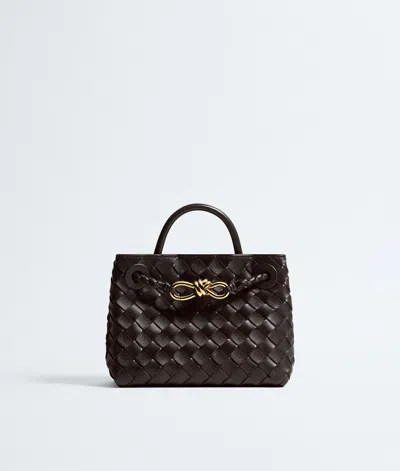 Bottega Veneta Bottega  Veneta Mini Andiamo In Brown