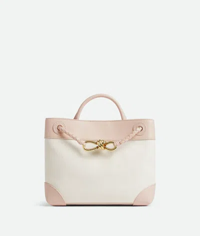 Bottega Veneta Andiamo Petit Format In White