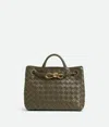 Bottega Veneta Small Andiamo