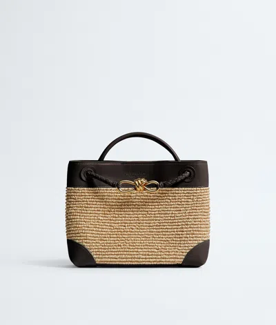 Bottega Veneta Small Raffia Andiamo Top-handle Bag In Brown