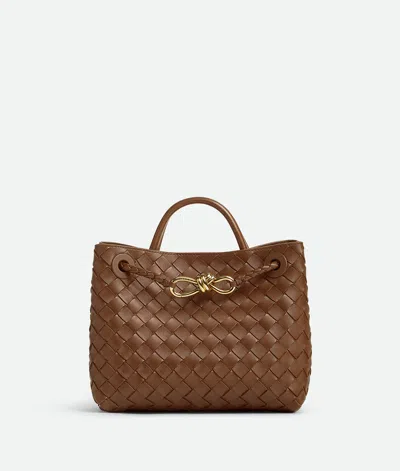 Bottega Veneta Small Andiamo In Brown
