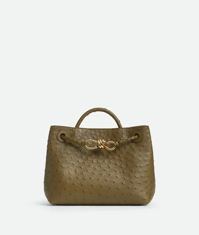 Bottega Veneta Kleine Andiamo In Brown