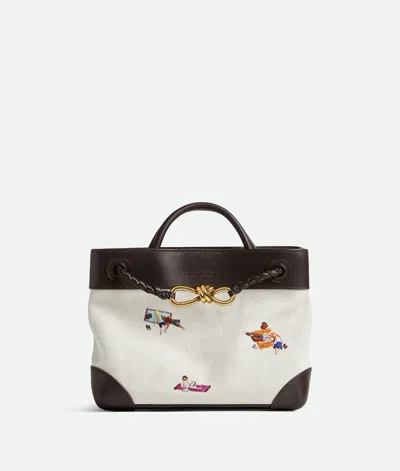 Bottega Veneta Small Andiamo In Multi