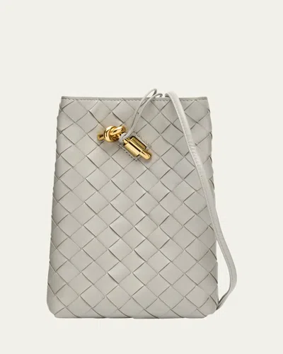 Bottega Veneta Andiamo Phone Pouch Crossbody Bag In Brown