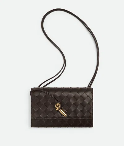 Bottega Veneta Andiamo Pouch