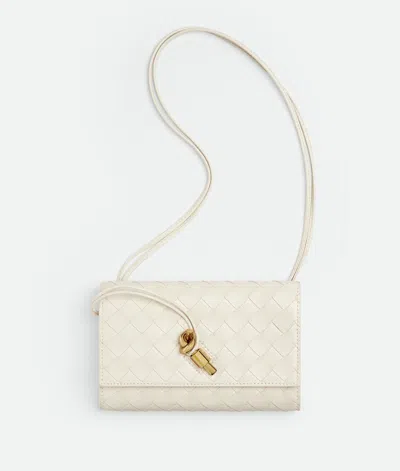 Bottega Veneta Andiamo Pouch