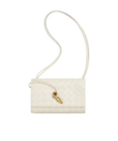 Bottega Veneta Andiamo Pouch