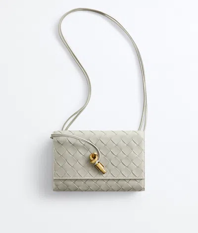 Bottega Veneta Andiamo Pouch On Strap In Silica Grey