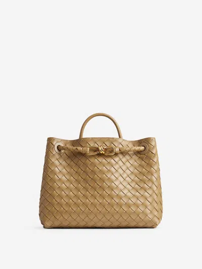 Bottega Veneta Small Leather Andiamo Shoulder Bag In Pinecone-m B-pinec