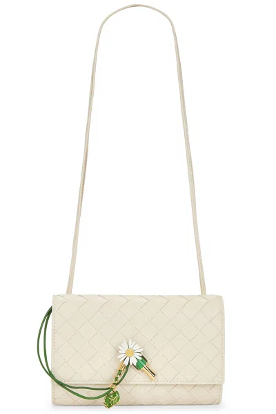 Bottega Veneta Andiamo Slim Pouch