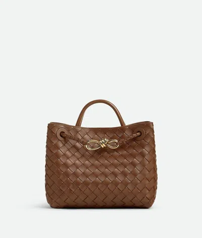 Bottega Veneta Andiamo Small
