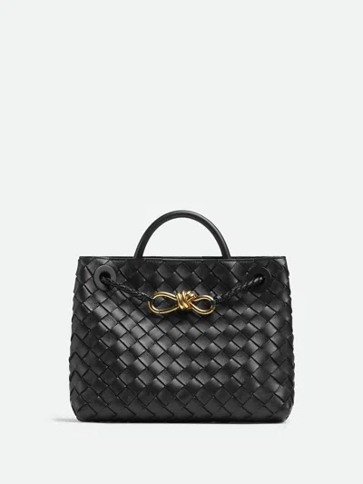 Bottega Veneta Andiamo Small