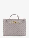 Bottega Veneta Andiamo Small In Neutral