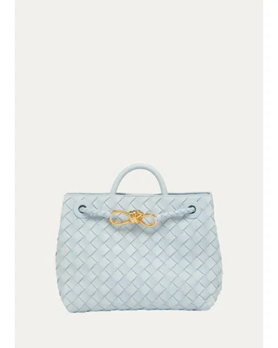 Bottega Veneta Andiamo Small Leather Tote Bag In Mineral