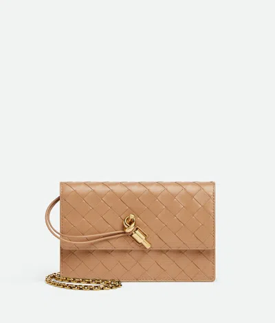 Bottega Veneta Andiamo Wallet On Chain In Brown
