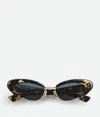 Bottega Veneta Angle Cat Eye Sunglasses In Havana/havana/blue