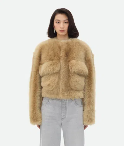 Bottega Veneta Blouson Cropped En Shearling Toscana In Teddy Bear