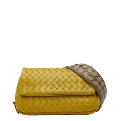 Pre-owned Bottega Veneta Brown Green Leather Shoulder Bag () In Multi