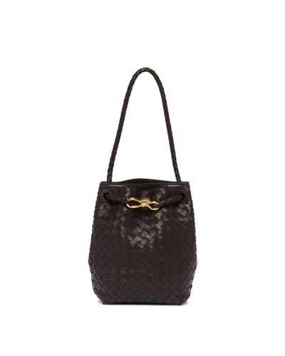 Bottega Veneta Brown Small Andiamo Bucket Bag In Black