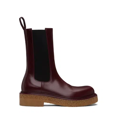 Bottega Veneta Burgundy Haddock Chelsea Boots In Black