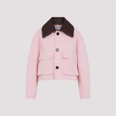 Bottega Veneta Button-front Cotton Jacket In Pink