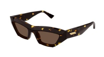 Pre-owned Bottega Veneta Bv1219s 002 Havana/brown Cat Eye Women's Sunglasses