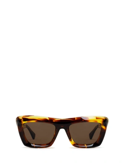 Bottega Veneta Bv1283s Havana Sunglasses In 002 Havana Havana Brown