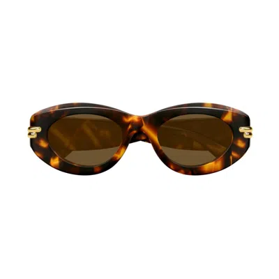 BOTTEGA VENETA BV1322S-002HAVANA-HAVANA-BROWN