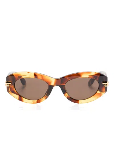 Bottega Veneta Bv1322s Havana Sunglasses Brown Lens