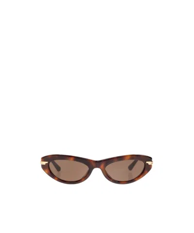 Bottega Veneta Cat's Eye Sunglasses In Brown
