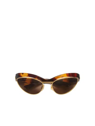 Bottega Veneta `cat Eye` Sunglasses In Brown