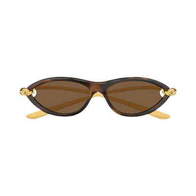 Pre-owned Bottega Veneta Cat Eye Sunglasses 'shiny Sprayed Medium Havana' | Brown | Women's Size Onesize