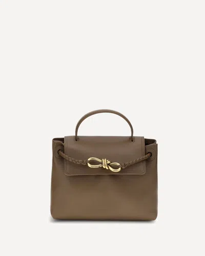 Bottega Veneta Ciao Ciao Small Handbag In Brown