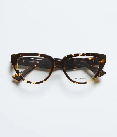 Bottega Veneta Classic Cat Eye Eyeglasses In Havana/transparent